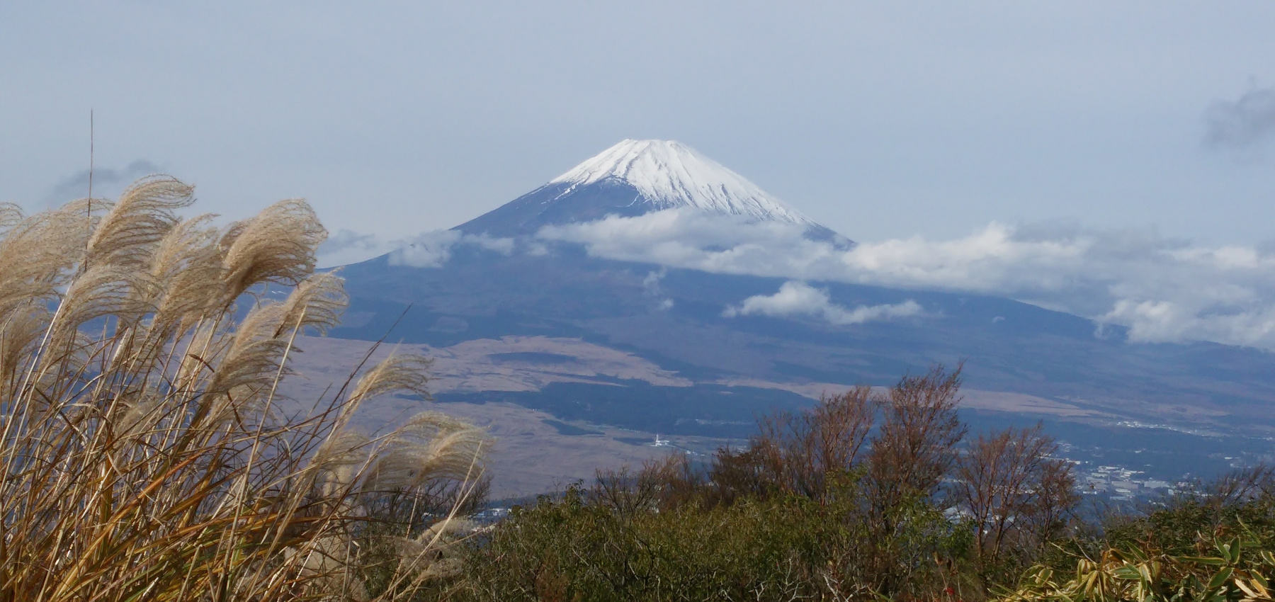 トップイメージ03